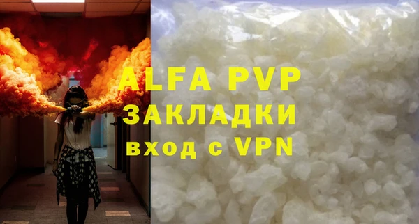 spice Аркадак