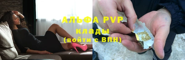 spice Аркадак