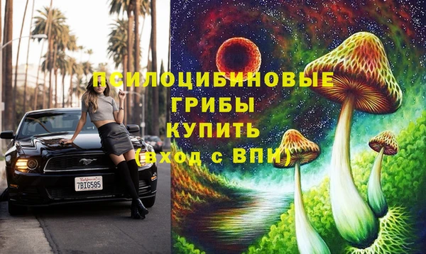 мдпв Арсеньев